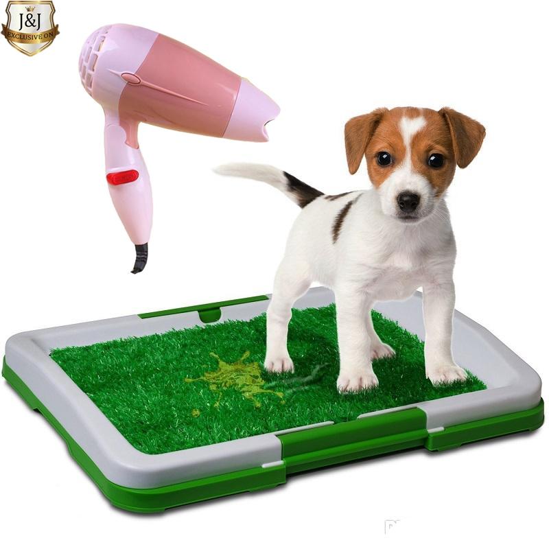 Potty Seat For Toddler Toilet Brands S 3 Layer Indoor Grass Pet Dog Potty Pad Training Stain Green D15 With Foldable Mini