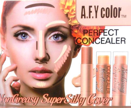 A.F.Y COLOR PERFECT CONCEALER-04 Philippines