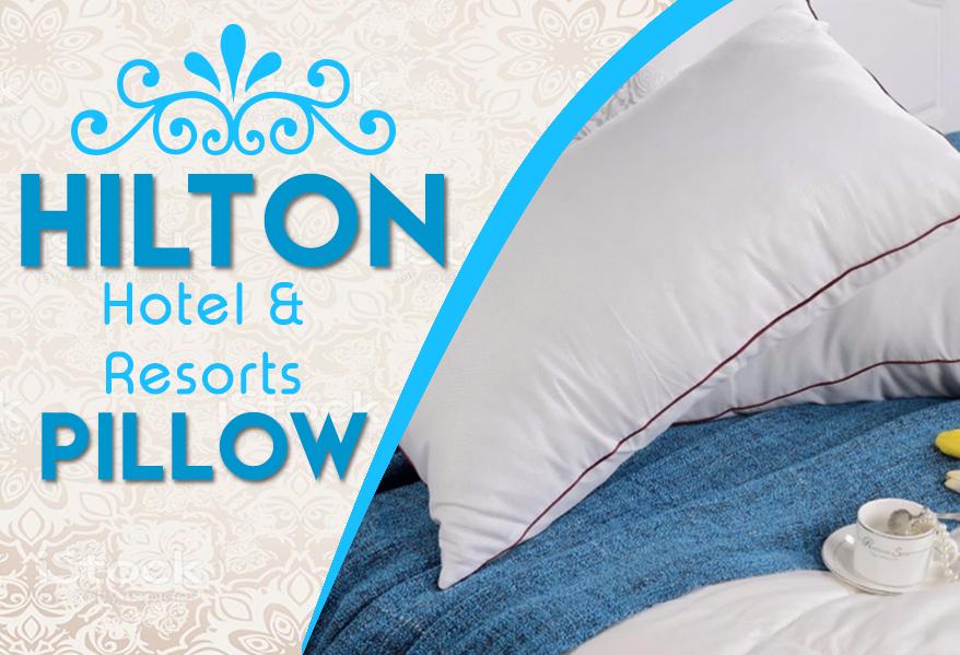 Hilton Hotels Resorts Pillow Set Of 2 Lazada Ph