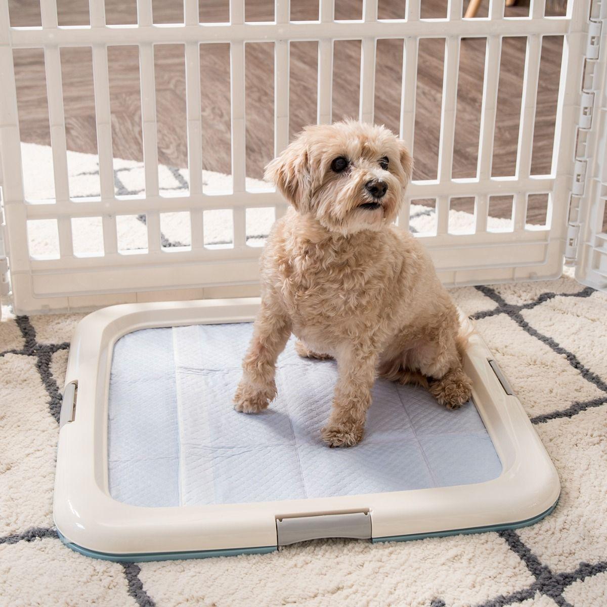 Potty Trainer For Dog Brands S Dog Potty Training Urine Pad Holder Um