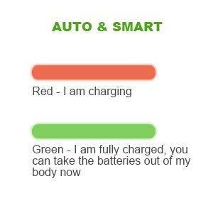 smart battery charger