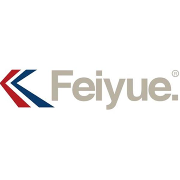 Feiyue