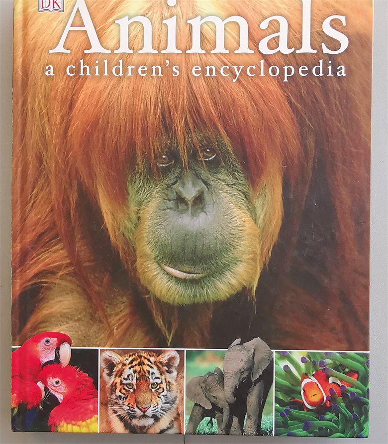 Ready Defective English Animal Encyclopedia Animals A Children s