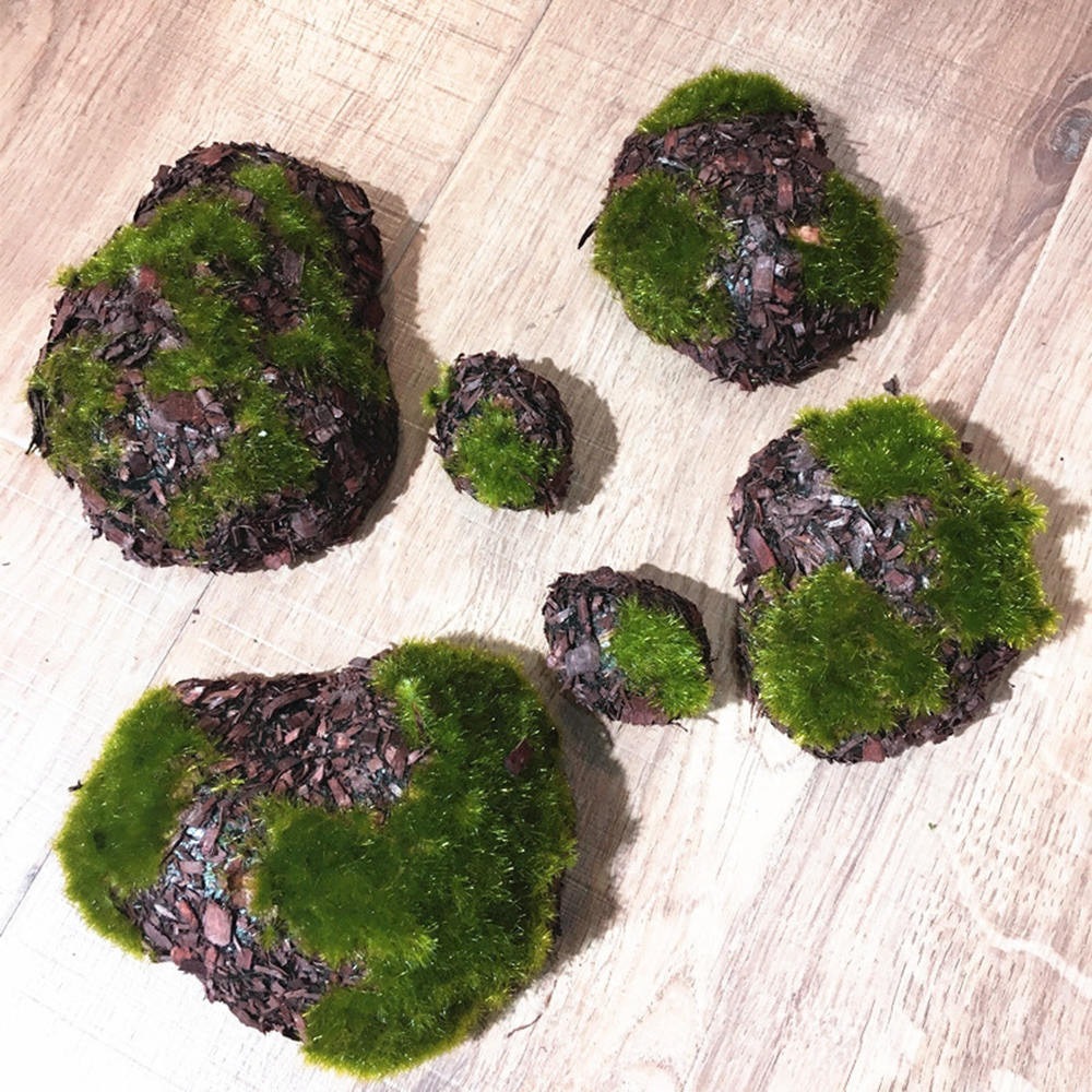 100g/bag Nature dry real green moss Plants decorative Flower pot artificial  turf silk Flower accessories for Bonsai decoration