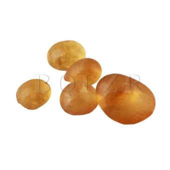 Animal Glue Luthier Hide For Violin Maker 60G Amber June 2018 - 5 Animal Glue Luthier Hide for Violin Maker 60G Amber - 5