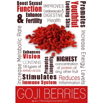 Set Of 2 - Nutrifam US Goji Berries 500g July 2018 - 2 Set of 2 - Nutrifam US Goji Berries 500g - 2