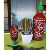 Sriracha 17oz And 1 Oz Bundle August 2018 - 2 Sriracha 17oz and 1 oz bundle - 2