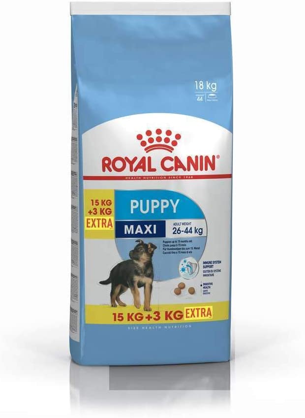 Royal Canin SHN Maxi Junior (Puppy 