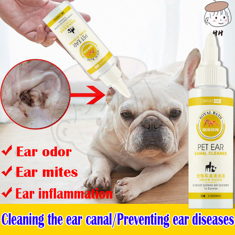 Does Apple Cider Vinegar Kill Ear Mites In Dogs