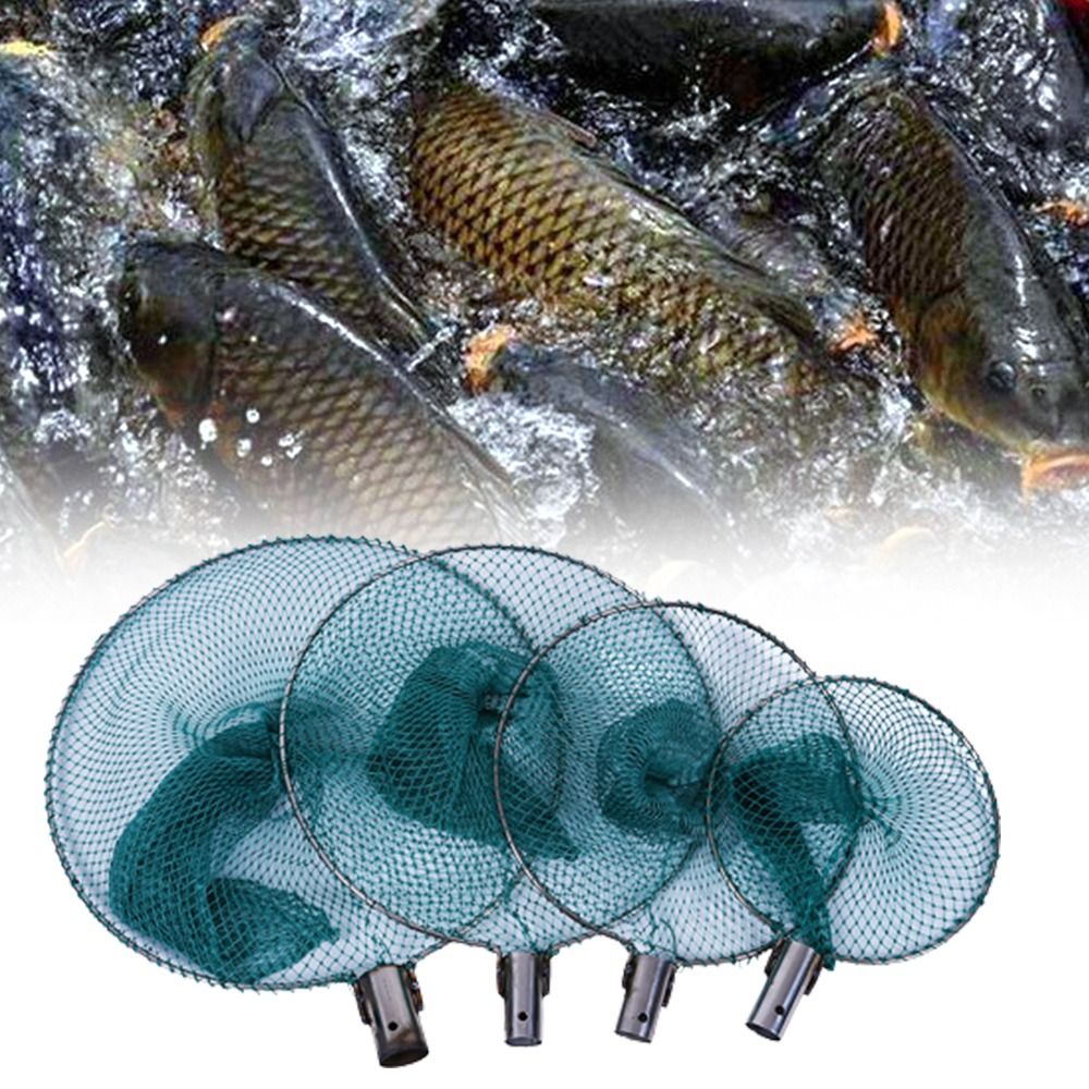 Fish Guard Nets - Best Price in Singapore - Jan 2024