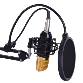 Professional Broadcasting Studio Recording Condenser Microphone MicKit With Shock Mount Adjustable Suspension Scissor Arm StandMounting Clamp Pop Filter - Intl June 2018 - 4 Professional Broadcasting Studio Recording Condenser Microphone MicKit with Shock Mount Adjustable Suspension Scissor Arm StandMounting Clamp Pop Filter - intl - 4