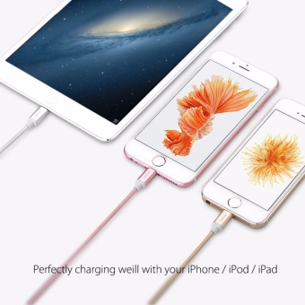 UGREEN Metal Alloy Original USB Lightning Cable USB Charger CordNylon Bradied Design For IPhone 4 5 6 7 IPad - Rose Gold,2M - Intl April 2018 - 4 UGREEN Metal Alloy Original USB Lightning Cable USB Charger CordNylon Bradied Design for iPhone 4 5 6 7 iPad - Rose Gold,2M - intl - 4