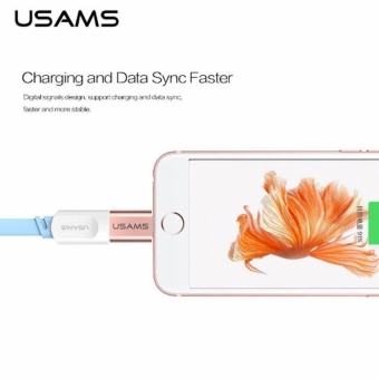 USAMS For IPhone 5s 5 SE 6 6S 7 PLUS OTG Micro Usb AdapterMicroCable To Light Charging Data Sync Cable For IPhone IPad,Gold -intl June 2018 - 4 USAMS For iPhone 5s 5 SE 6 6S 7 PLUS OTG Micro Usb AdapterMicroCable to Light Charging Data Sync Cable for iPhone iPad,Gold -intl - 4