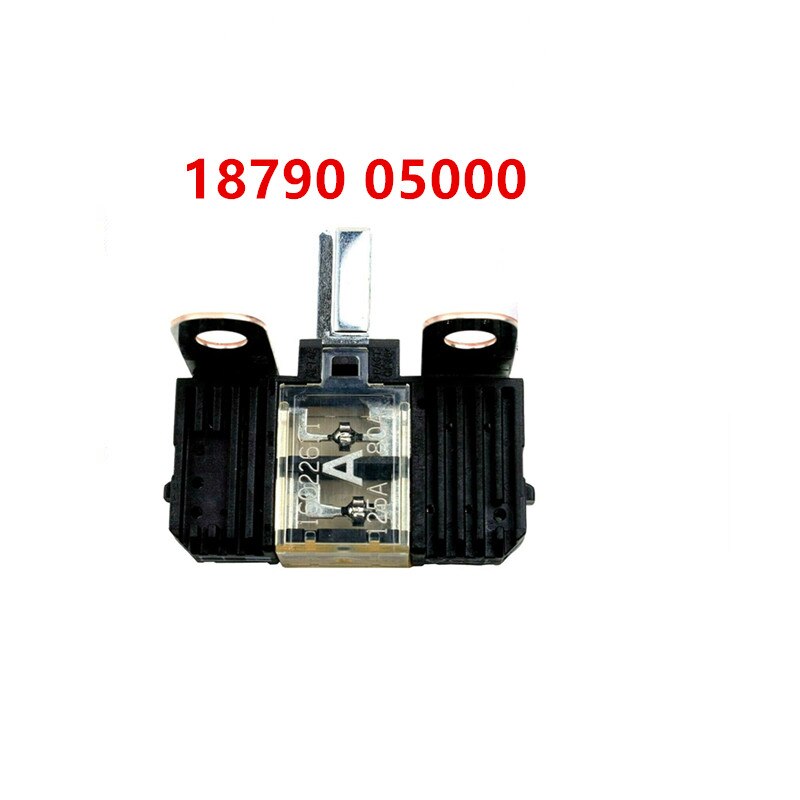 1879005000 125a/80a đa cầu chì cho hyundai giọng i10 i20 địa điểm cho kia rio linh hồn 2018-2022 18790-05000