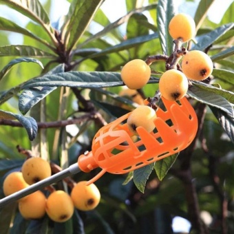 1Piece Gardening Picking Tools Plastic Fruits Picker Without Pole Fruits Catcher - Intl June 2018 - 3 1Piece Gardening Picking Tools Plastic Fruits Picker without Pole Fruits Catcher - intl - 3
