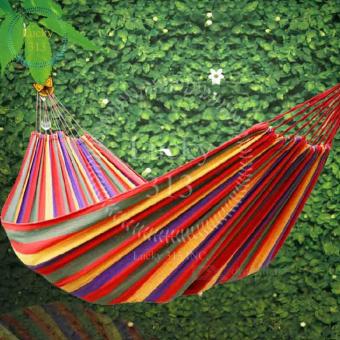 Colorful Canvas Hammock Hanging Sleeping Bed Red June 2018 - 5 Colorful Canvas Hammock Hanging Sleeping Bed Red - 5