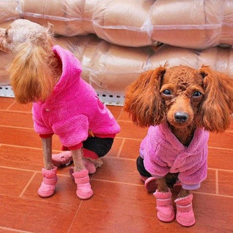 Cute Chihuahua Dog Shoes Puppy Warm Boots Shoes Color:Pink Size:S -intl June 2018 - 4 Cute Chihuahua Dog Shoes Puppy Warm Boots Shoes color:Pink size:S -intl - 4