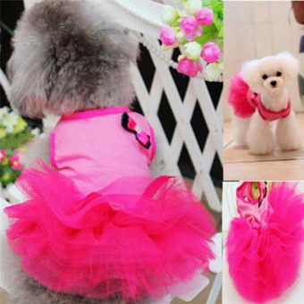 Hanyu Pet Dogs Puppy Butterfly Corsage Puff Tutu Dresses Costumesfor Pets Dogs S Rose Red - Intl June 2018 - 5 Hanyu Pet Dogs Puppy Butterfly Corsage Puff Tutu Dresses Costumesfor Pets Dogs S Rose Red - intl - 5
