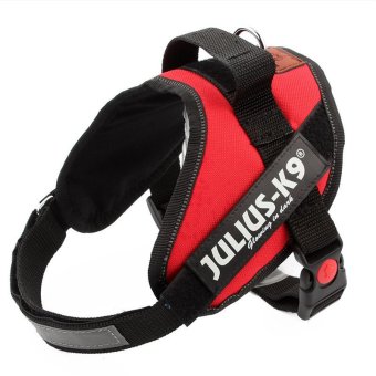 Large Dog Harness Vest Comfortable Nylon Net Cloth 2016 New PetProducts 4 Colors Professional Dog Chest Straps(L,Black) June 2018 - 5 Large Dog Harness Vest Comfortable Nylon Net Cloth 2016 New PetProducts 4 Colors Professional Dog Chest Straps(L,Black) - 5