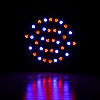 LED Hydroponic Plant Grow Light With Clip (3W 36LED) - Intl June 2018 - 2 LED Hydroponic Plant Grow Light With Clip (3W 36LED) - intl - 2
