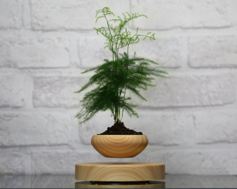 Levitation Air Bonsai (no Plant) Self Balance Magnetic Suspensionflower Pot Pottedplant Levitate Tubs June 2018 - 2 Levitation Air Bonsai (no plant) Self balance magnetic Suspensionflower pot pottedplant levitate tubs - 2