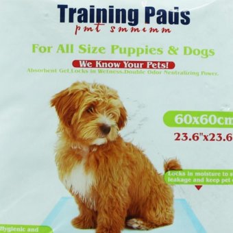Nunbell Training Pads 60x60cm For Puppies And Dogs June 2018 - 2 Nunbell Training Pads 60x60cm for Puppies and Dogs - 2