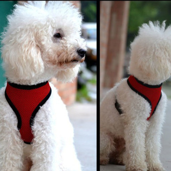Soft Mesh Dog Harness Pet Puppy Cat Clothing Vest Red S June 2018 - 4 Soft Mesh Dog Harness Pet Puppy Cat Clothing Vest Red S - 4
