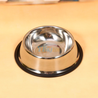 Stainless Steel Dog Pet Food Water Bowl Water Dish (16cm) - Intl April 2018 - 3 Stainless Steel Dog Pet Food Water Bowl water Dish (16cm) - intl - 3