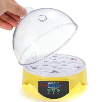 US Plug Automatic Clear Digital 7 Egg Incubator Hatchery For Chicken Duck Bird Quail Digital Temperature Small Brooder - Intl June 2018 - 2 US Plug Automatic Clear Digital 7 Egg Incubator Hatchery for Chicken Duck Bird Quail Digital Temperature Small Brooder - intl - 2