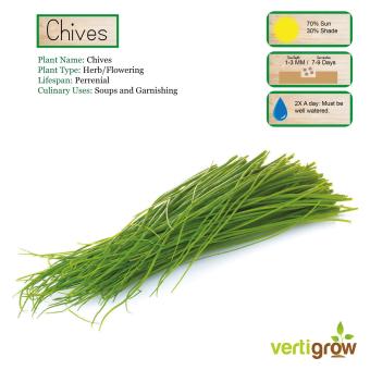 Vertigrow Natural Chives Growing Kit Urban Farming Vegetable Vertical Gardening Indoor And Outdoor June 2018 - 2 Vertigrow Natural Chives Growing Kit Urban Farming Vegetable Vertical Gardening Indoor and Outdoor - 2