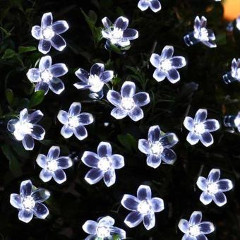 Welink Flower Solar String Lights , 7 Meters 23ft 50 LED FairyBlossom Christmas Lights Decorative Lighting For Indoor/OutdoorHome Garden Patio Lawn Party And Holiday Decorations - Intl June 2018 - 2 Welink Flower Solar String Lights , 7 Meters 23ft 50 LED FairyBlossom Christmas Lights Decorative Lighting for Indoor/OutdoorHome Garden Patio Lawn Party and Holiday Decorations - intl - 2