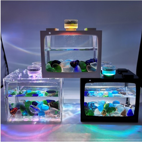 Betta Fish Mini Aquarium Building Lego Block Spider Marimo Guppy