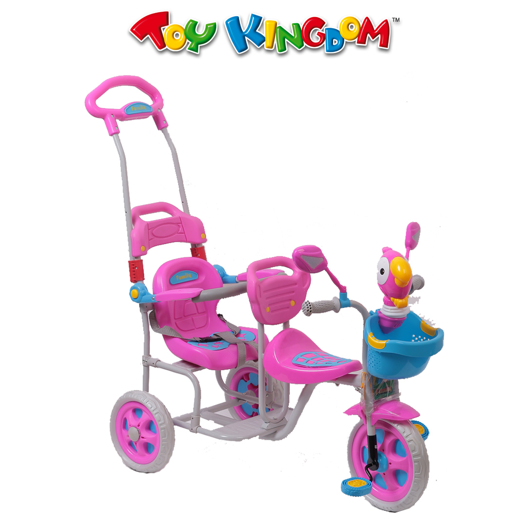 tricycle with push handle and seat belt
