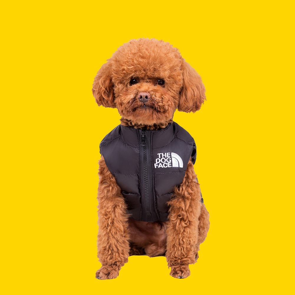 Cho Quần Áo Chó Mùa Thu Và Mùa Đông Pet Dog Mini Dog Teddy Dày Hơn Gấu Quần  Áo Ấm Jacket Vest | Lazada.Vn