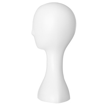 Female Plastic Mannequin Manikin Head Model Foam Wig Hair Glasses Display Stand White July 2018 - 2 Female Plastic Mannequin Manikin Head Model Foam Wig Hair Glasses Display Stand White - 2