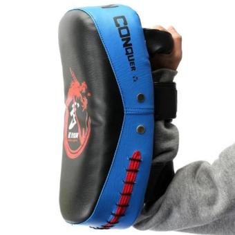 Boxing Muay Thai Martial Combat Karate Kicking Punching TrainingPad Target Blue June 2018 - 2 Boxing Muay Thai Martial Combat Karate Kicking Punching TrainingPad Target Blue - 2