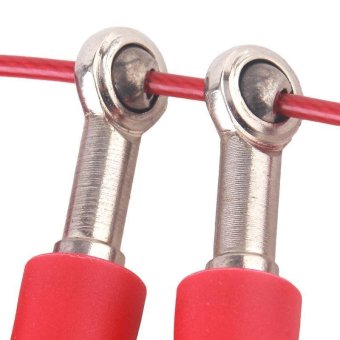 LALANG 3m Metal Bearing Skipping Rope Speed Cable Jump Rope FitnessSports (Red) April 2018 - 3 LALANG 3m Metal Bearing Skipping Rope Speed Cable Jump Rope FitnessSports (Red) - 3