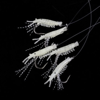 Sabiki 5 Shrimp Glow In The Dark Fishing Bait Baits Lure Catch Size16 Hook New - Intl June 2018 - 2 Sabiki 5 Shrimp Glow in the dark Fishing Bait Baits Lure Catch Size16 Hook New - intl - 2