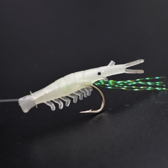 Sabiki 5 Shrimp Glow In The Dark Fishing Bait Baits Lure Catch Size16 Hook New - Intl June 2018 - 3 Sabiki 5 Shrimp Glow in the dark Fishing Bait Baits Lure Catch Size16 Hook New - intl - 3