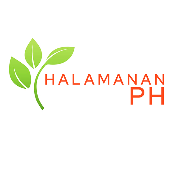 HALAMANAN