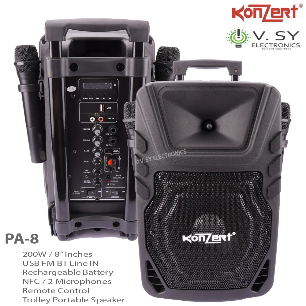 portable pa system with 2 wireless microphones