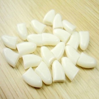 20pcs Colorful Cats Dogs Kitten Paws Grooming Nail Claw Cap+Adhesive Glue - White M - Intl June 2018 - 2 20pcs Colorful Cats Dogs Kitten Paws Grooming Nail Claw Cap+Adhesive Glue - White M - intl - 2