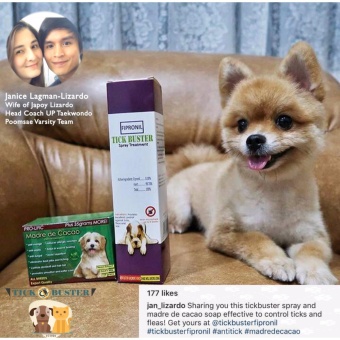 3 In 1 Shampoo, Conditioner And Cologne 500mL (Lime) And Pro-lific Madre De Cacao Organic Soap 130grams June 2018 - 5 3 in 1 Shampoo, Conditioner and Cologne 500mL (Lime) and Pro-lific Madre de Cacao Organic Soap 130grams - 5