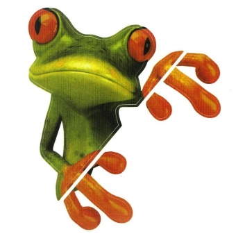 3D Peep Frog Funny Car Stickers Truck Window Decal Graphics Sticker - Intl June 2018 - 2 3D Peep Frog Funny Car Stickers Truck Window Decal Graphics Sticker - intl - 2