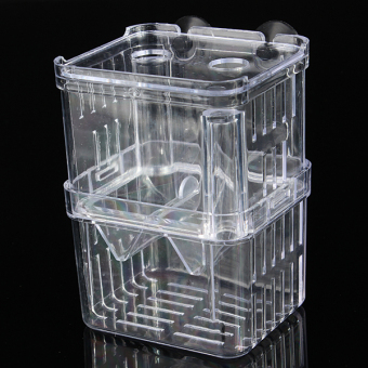 4 In1 Aquarium Fish Fry Breeding Hatchery Incubator Isolation Box Tank Shrimp Small - Intl June 2018 - 3 4 in1 Aquarium Fish Fry Breeding Hatchery Incubator Isolation Box Tank Shrimp Small - intl - 3
