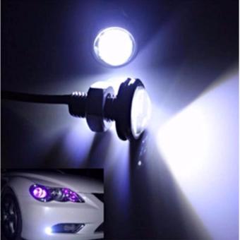 Eagle Eye LED Fog Lights 23mm 10W(Red) June 2018 - 5 Eagle Eye LED Fog Lights 23mm 10W(Red) - 5
