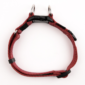 Ezydog Double Up Dog Collar (Red) July 2018 - 3 Ezydog Double Up Dog Collar (Red) - 3
