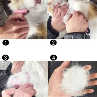 Furminator Deshedding Brush Tool For Dog / Cat L Pink - Intl April 2018 - 4 Furminator Deshedding Brush Tool for Dog / Cat L Pink - intl - 4