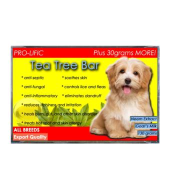 Prolific Moringa, Oatmeal, And Tea Tree Organic Soap For Cat And Dog 130g With Free Fish Oil 30 Soft Gels July 2018 - 4 Prolific Moringa, Oatmeal, and Tea Tree Organic Soap for Cat and Dog 130g with Free Fish Oil 30 Soft Gels - 4