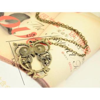 Retro Colorful Rhinestone Owl Pendant And Long Chain Necklace 9g June 2018 - 5 Retro Colorful Rhinestone Owl Pendant and Long Chain Necklace 9g - 5